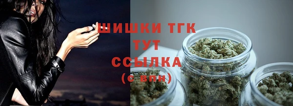 индика Нефтекумск