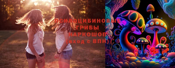 хмурый Нея