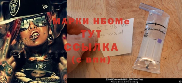 хмурый Нея