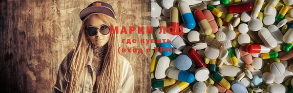 хмурый Нея