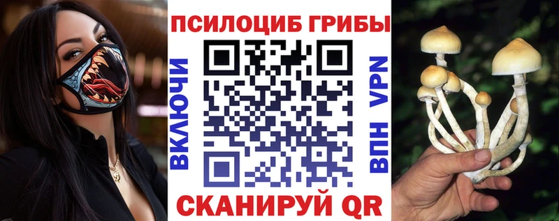купить  сайты  Отрадный  Псилоцибиновые грибы Psilocybine cubensis 