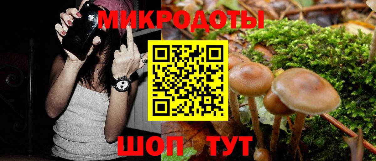 Псилоцибиновые грибы прущие грибы  Псилоцибиновые грибы мухоморы  Вход с VPN  Отрадный 