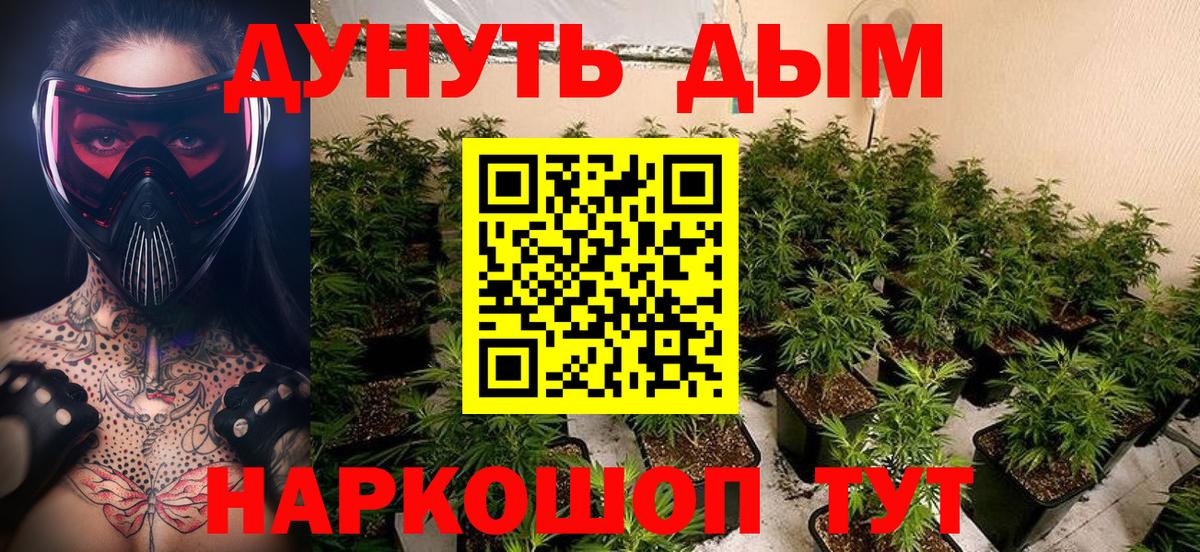 Отрадный  МАРИХУАНА семена  Бошки марихуана планчик  Канабис VHQ  Бошки марихуана Bruce Banner  Вход с VPN 